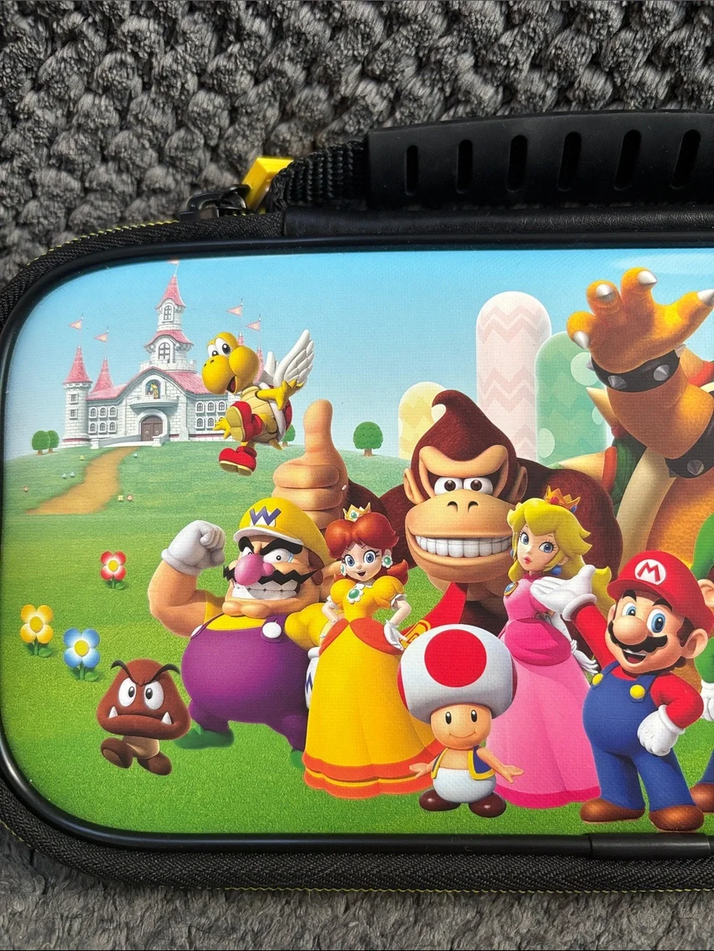 Super Mario Travel Switch (1) Case